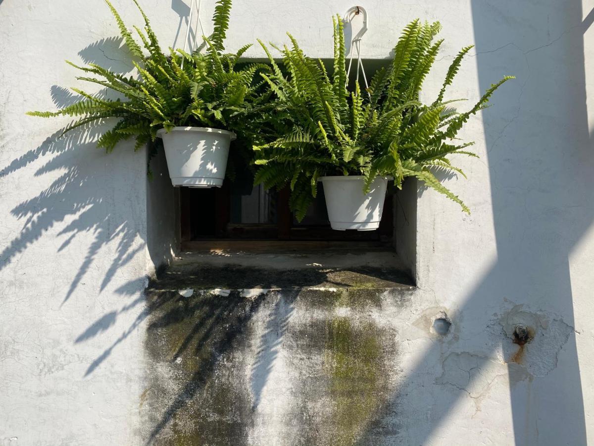 緩緩歸 Slow Living ไถหนาน ภายนอก รูปภาพ