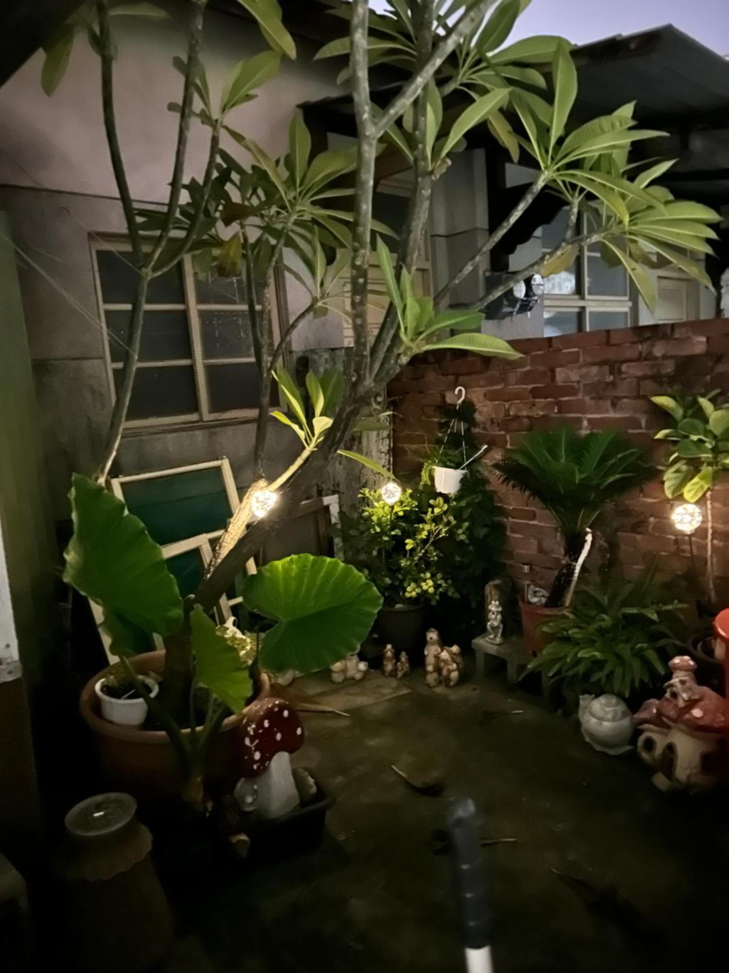 緩緩歸 Slow Living ไถหนาน ภายนอก รูปภาพ